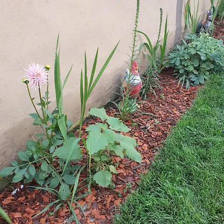 Yannis Konukevi Costinești