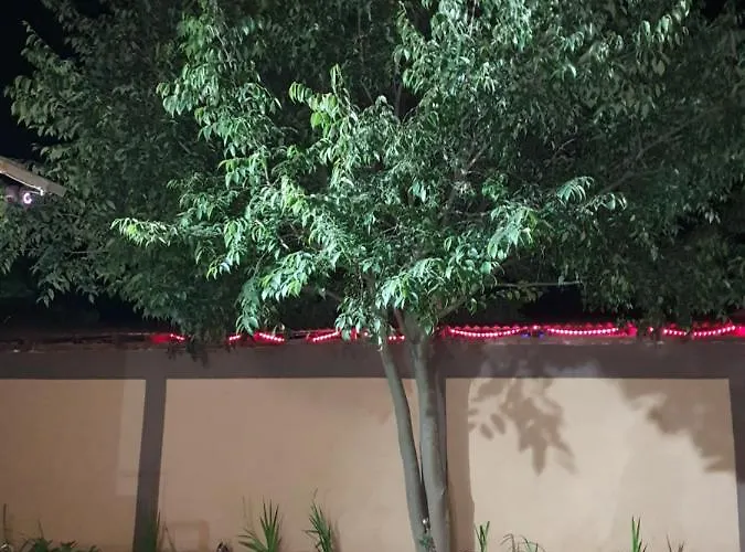 Yannis 3* Costinești