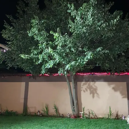 Yannis 3* Costinești