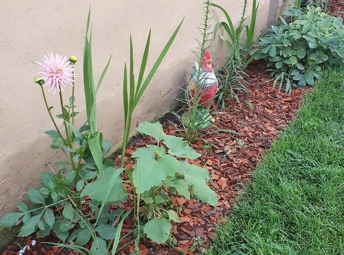 Yannis Vendégház Costinești